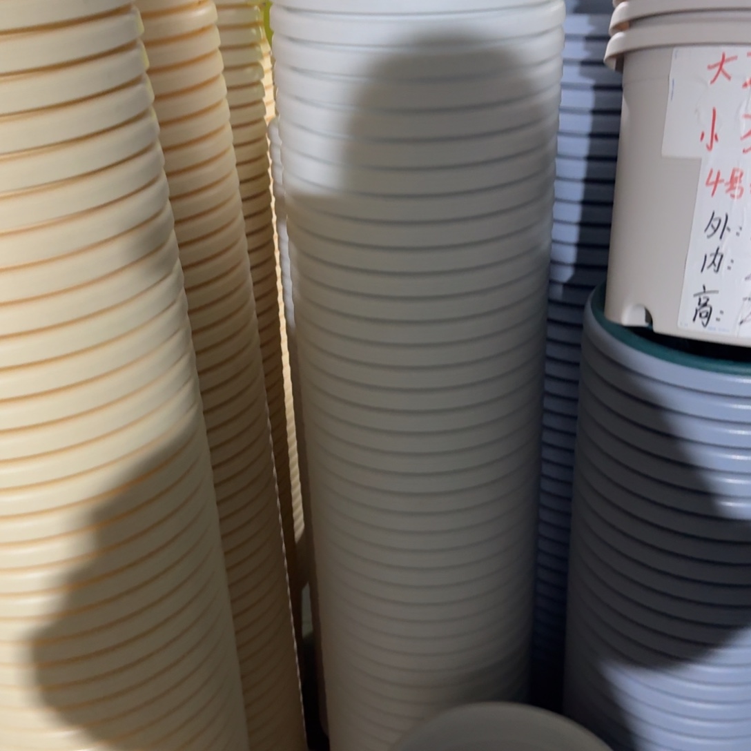 四季4号10个白色的