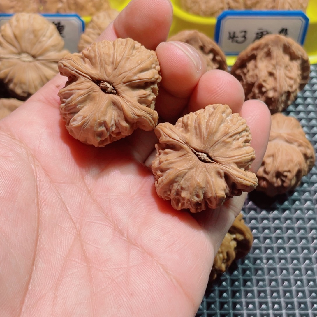 想***王文玩核桃吊坠37全品白狮子