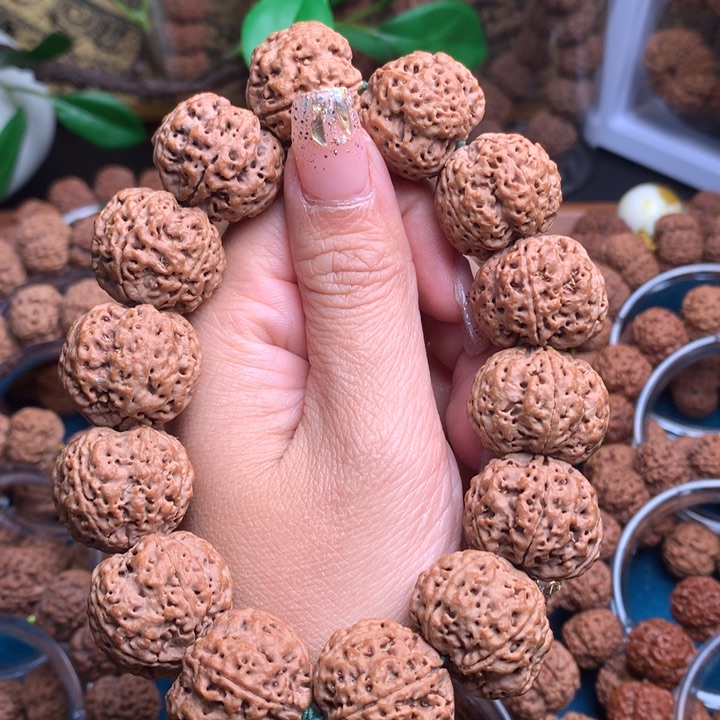 【闪购商品】金刚菩提手串23尺寸蜂王粗筋