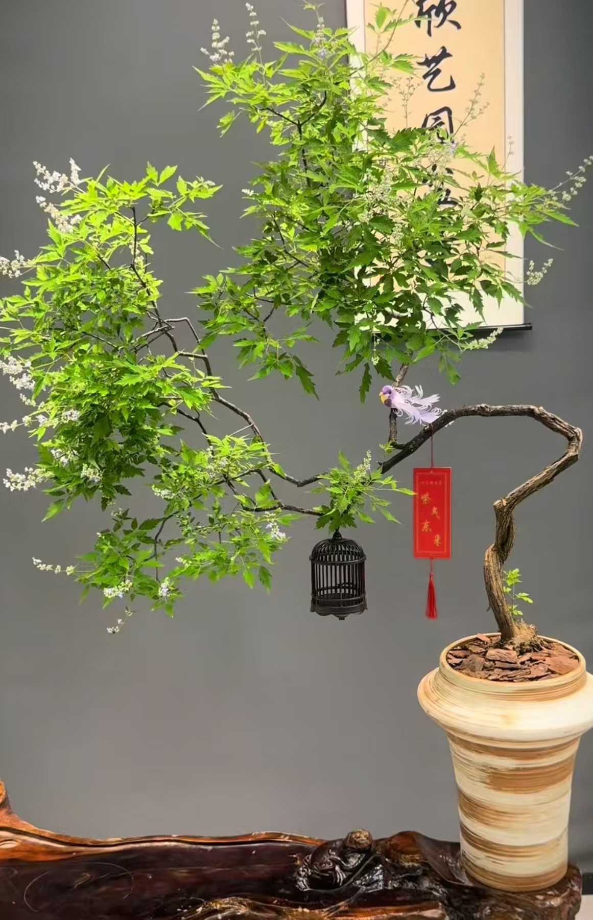 海岛黄荆造型盆景适合茶室办公室可在直播间挑选造型