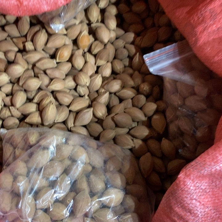 吊坠橄榄核华**雕這個問題真的