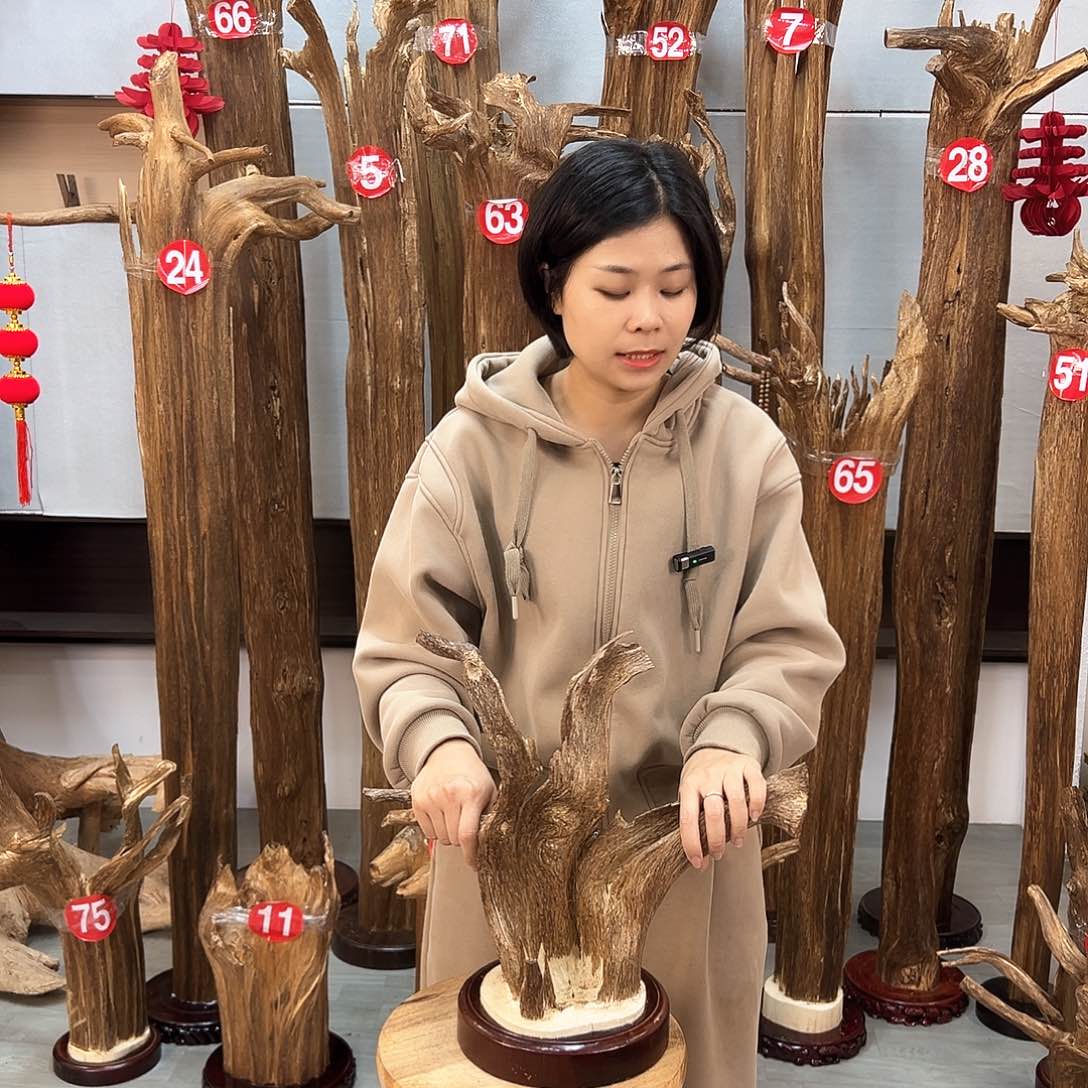 沉香摆件沉香摆件