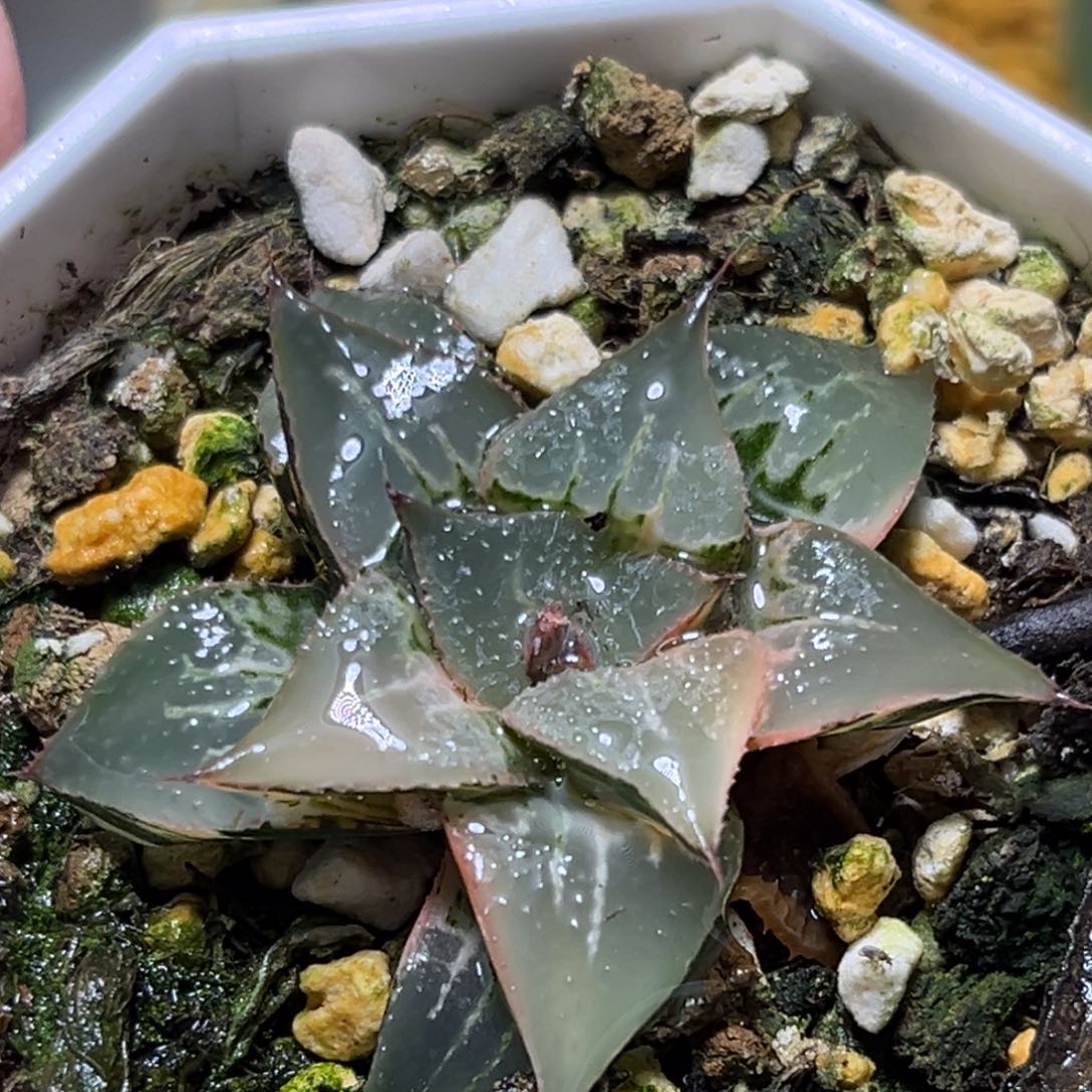 恭喜发财大吉大利0107