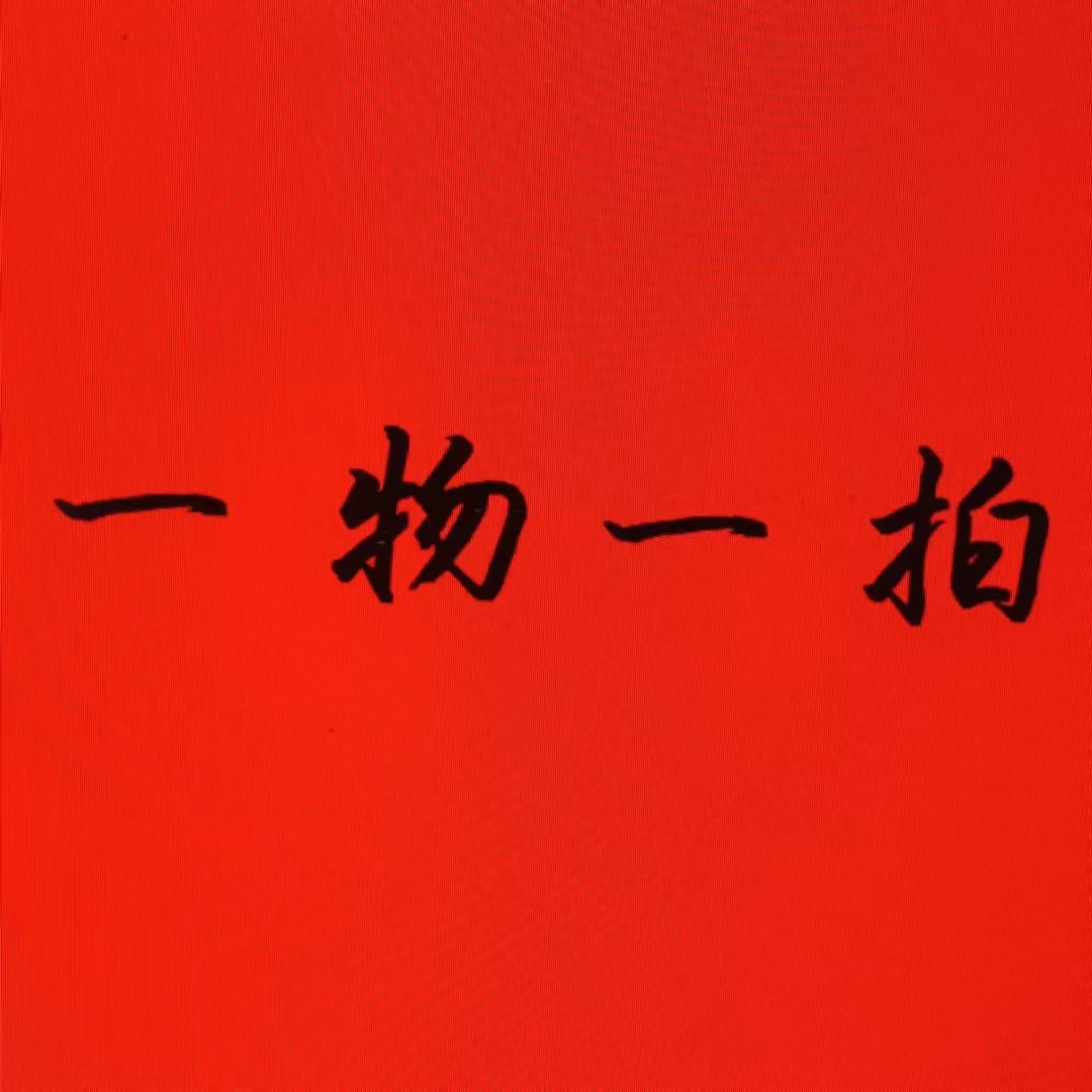 《一物一拍蝴蝶兰》蝴蝶兰苗