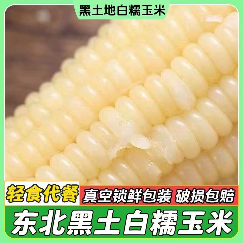 【整箱7斤10大棒】东北香甜软粘白糯玉米单根300g试吃2根
