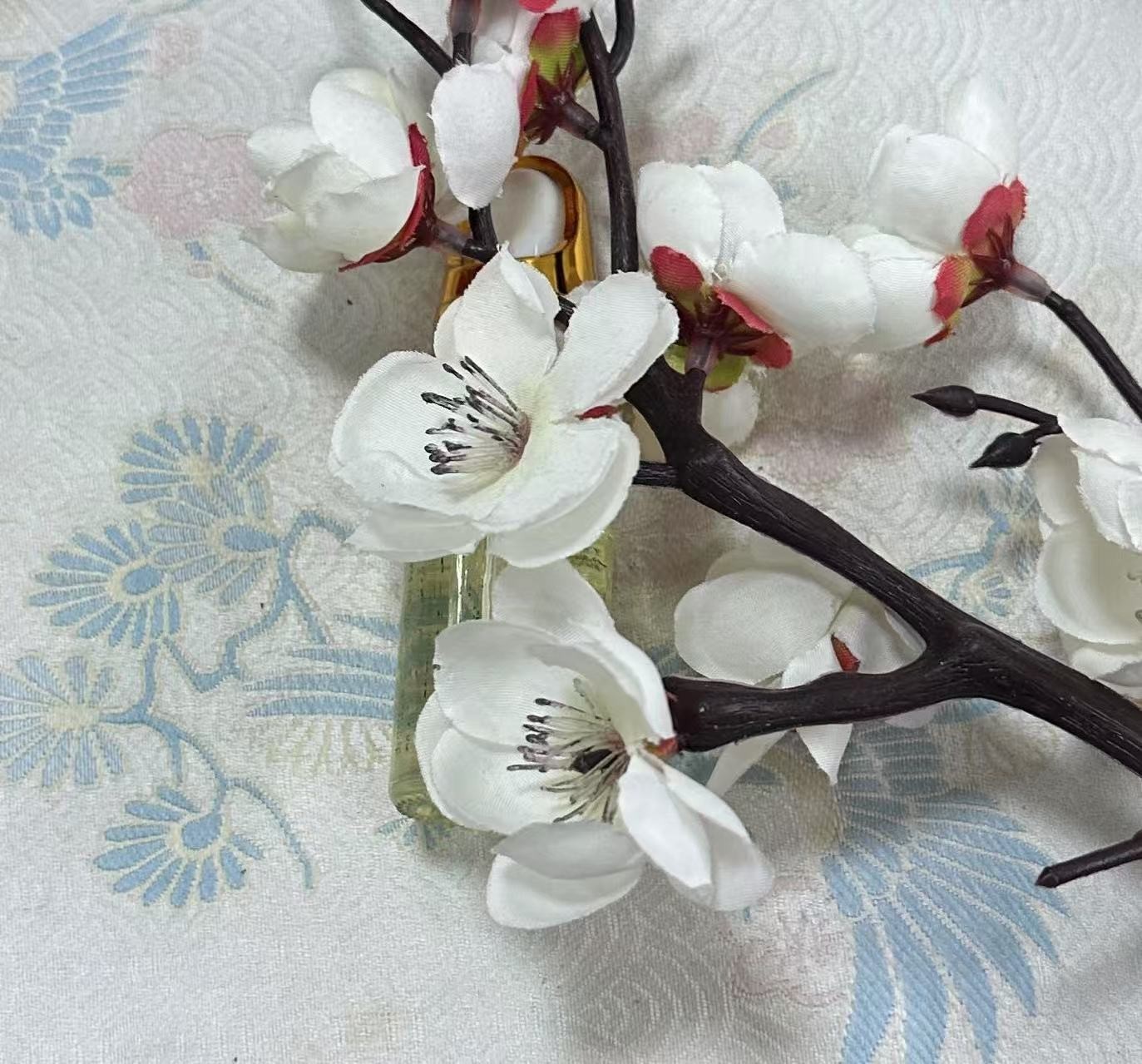 P1 白色花 多样性发其一