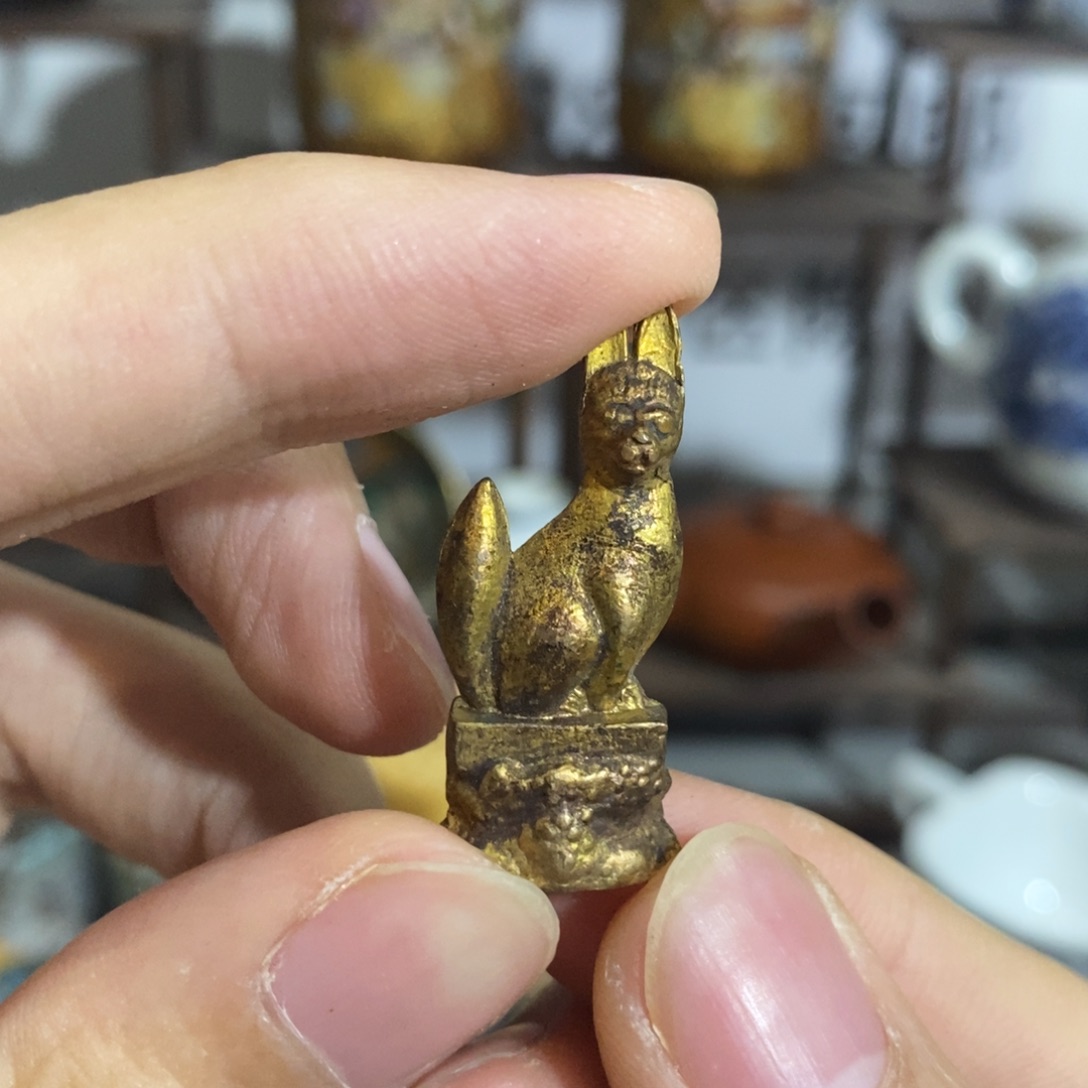 瓶把电话大喊大叫大家可