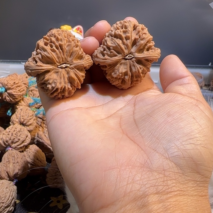 耿***）桃核吊坠核桃核桃