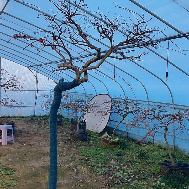 【闪购商品】完全开放