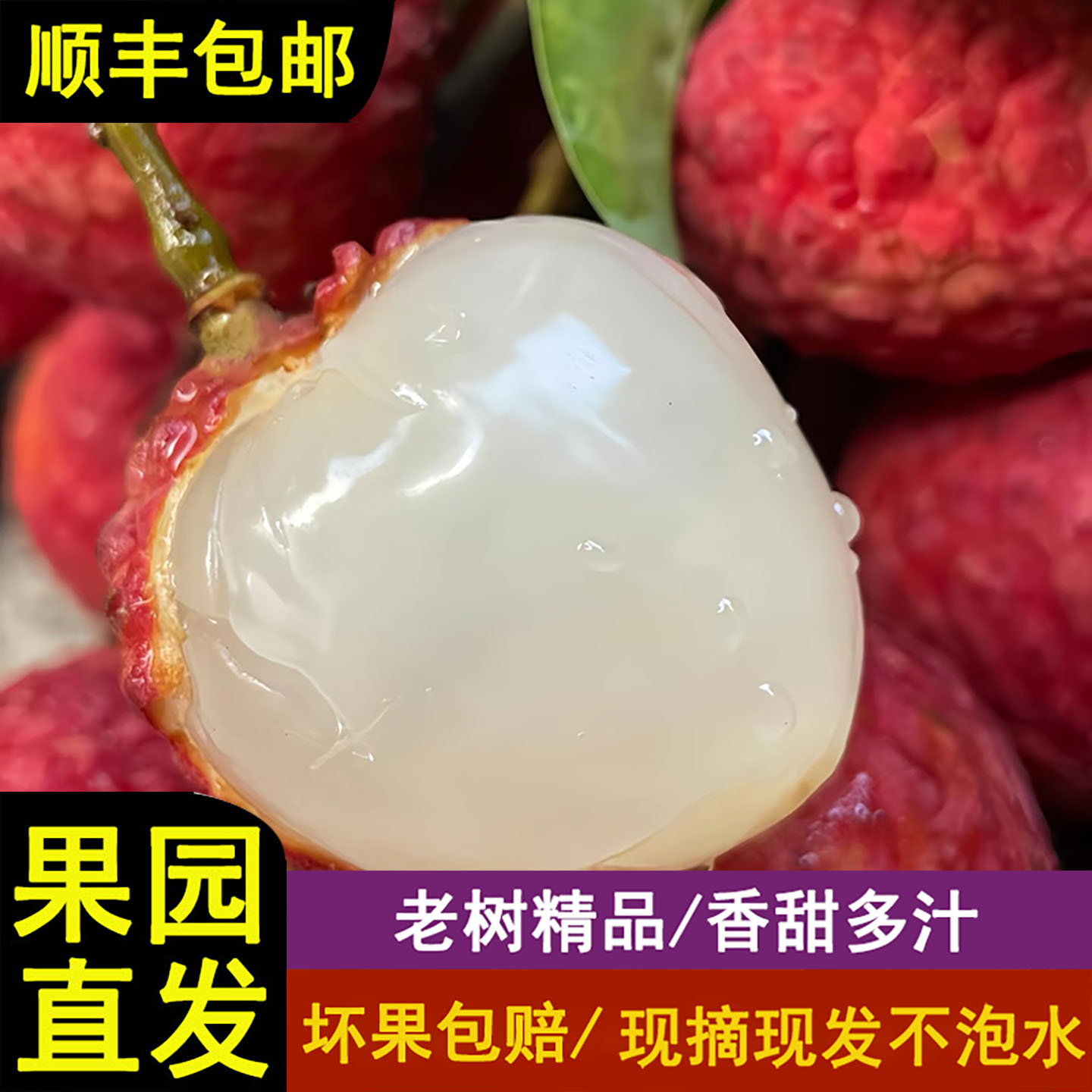 【发顺丰冷链】正宗老树桂味荔枝广东新鲜荔枝现摘现发整箱包邮