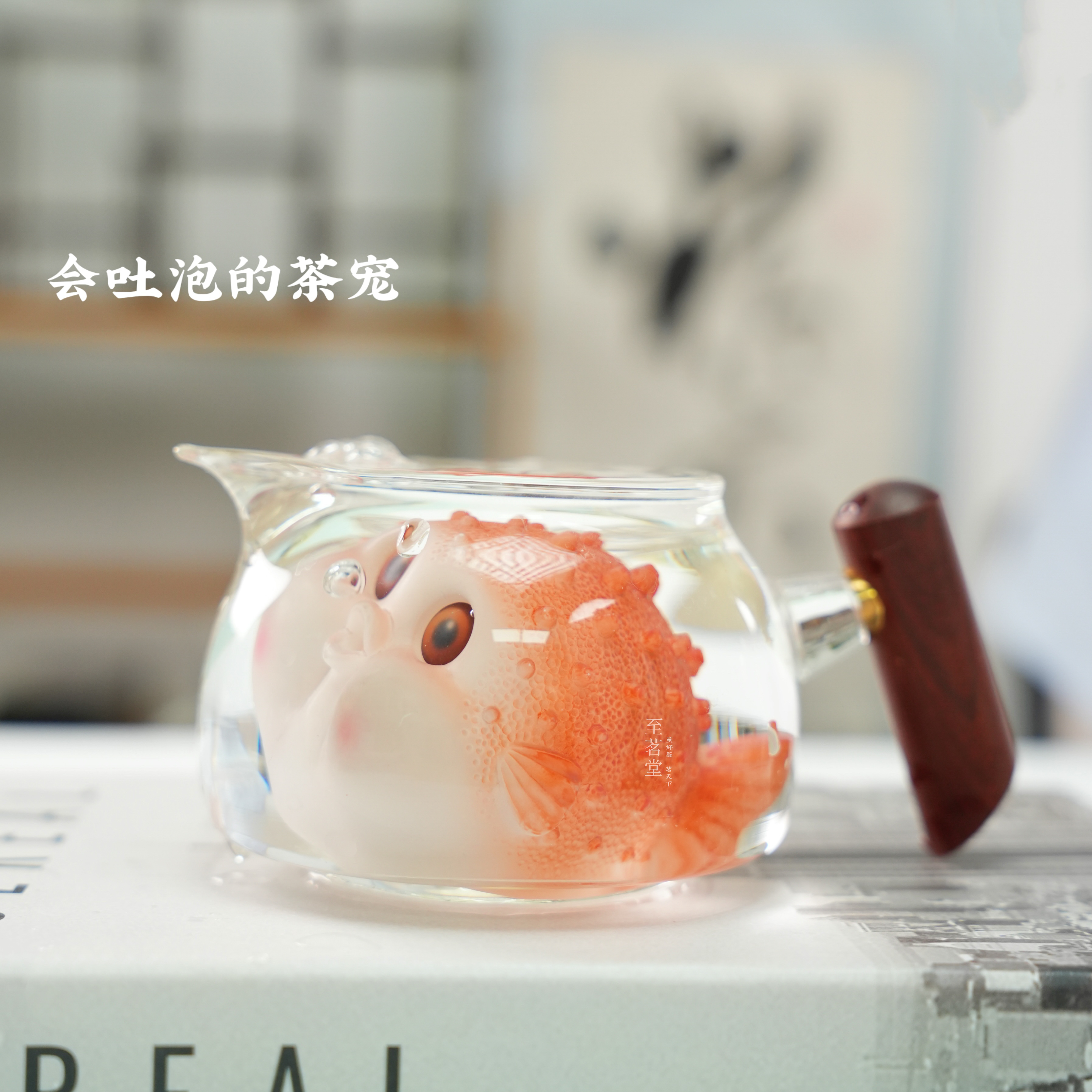大泡泡鱼【红】变色茶宠