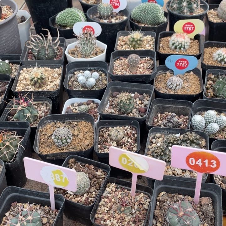 F***d000000000000000000000000