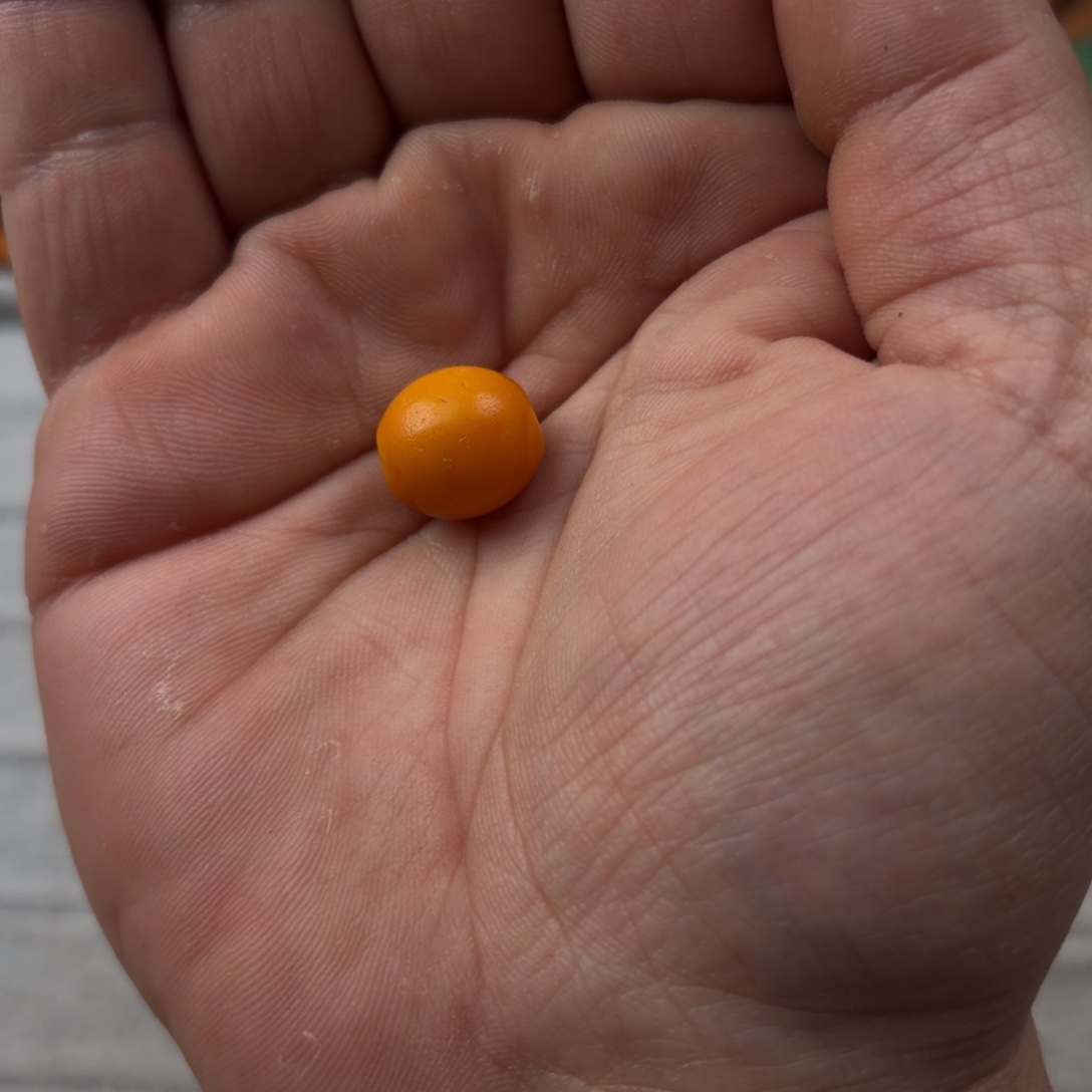 山***由蜜蜡未镶嵌颈饰老蜜蜡