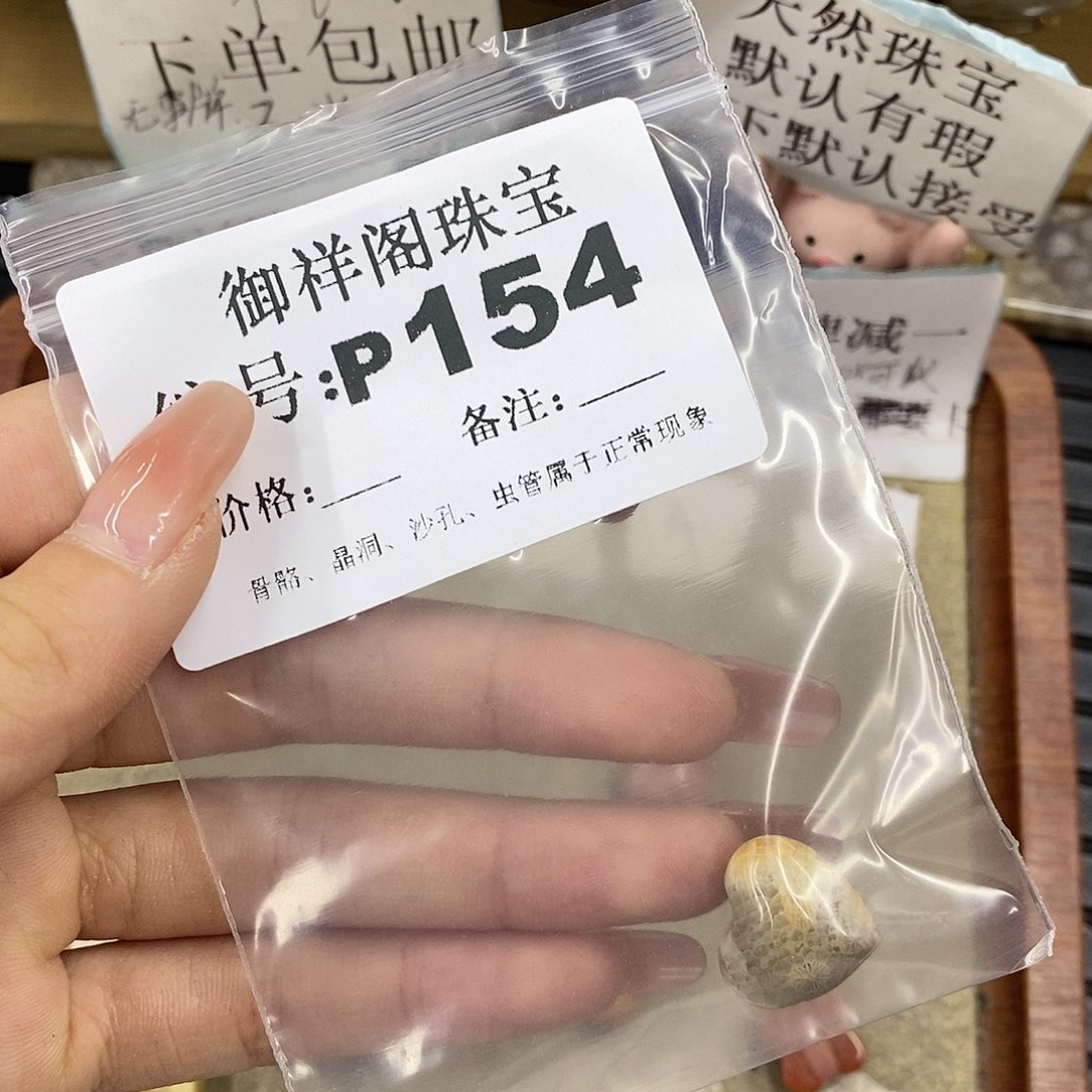 硅化珊瑚（珊瑚玉）未镶嵌颈饰e*T