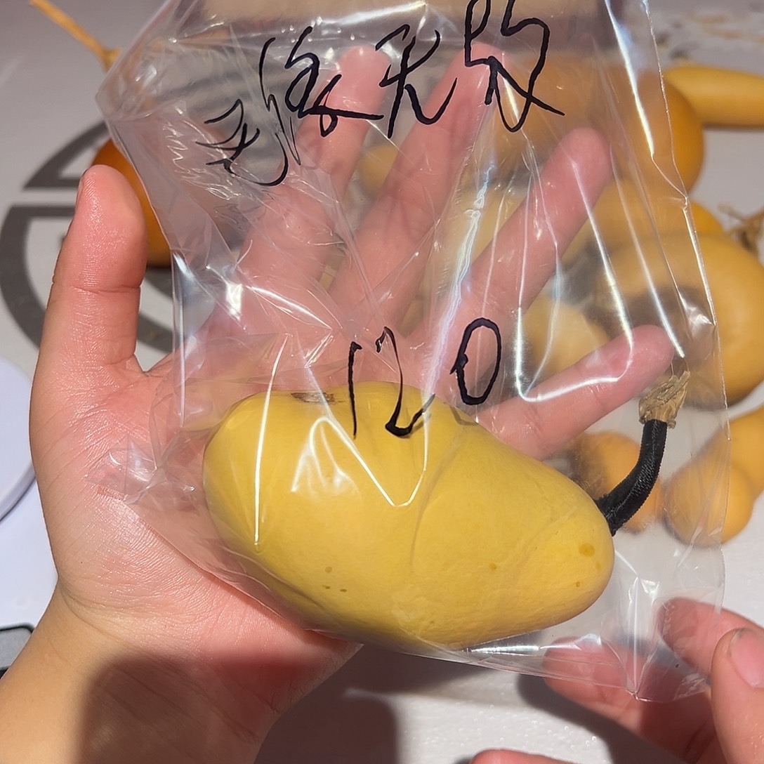 无***故哈哈哈哈哈哈哈哈哈哈哈