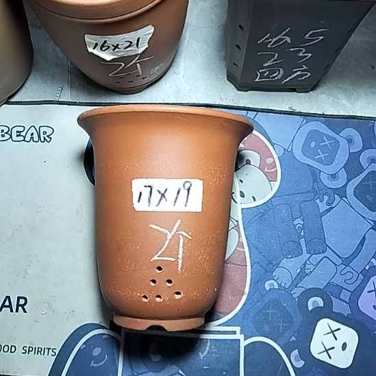 红泥小金钟两个花泥