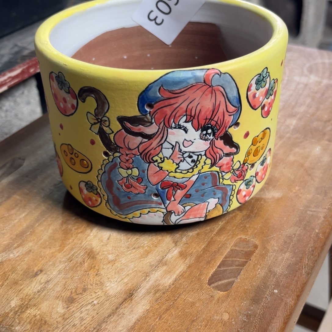 C***s603多肉花盆50元1个