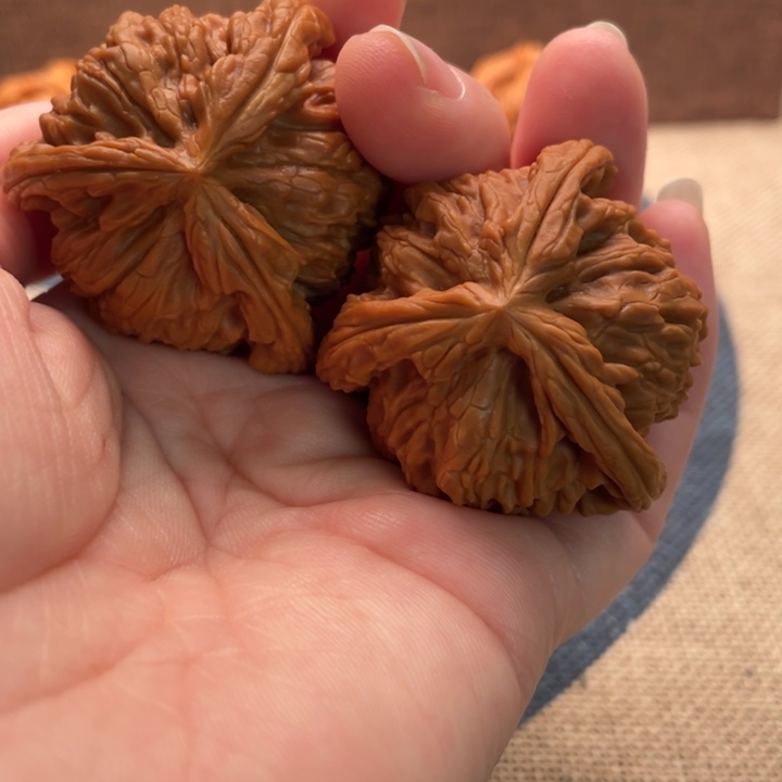 花***儿核桃白狮子核桃41