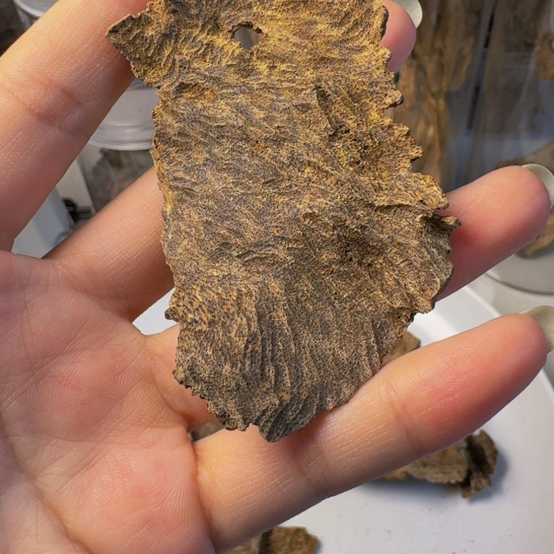 沉香碎屑沉香海南树根油4.67克