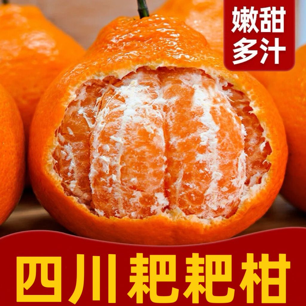 正宗四川春见耙耙柑粑粑柑斤10橘子甜当季整箱新鲜水果丑柑桔年货