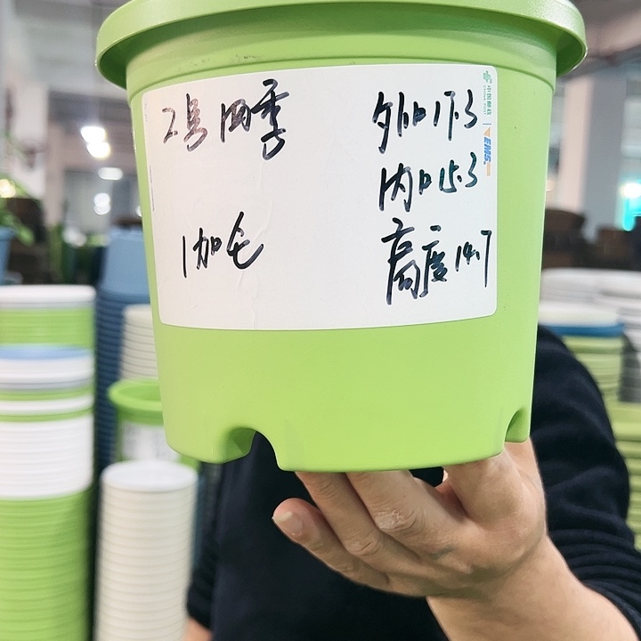 特价2号四季口17高14白色10个无托