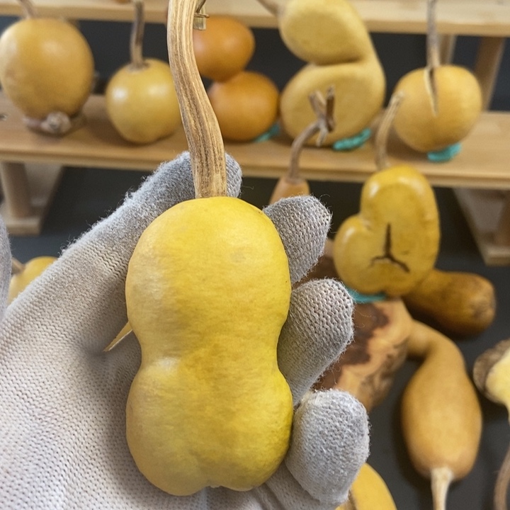 一***布葫芦葫芦真的