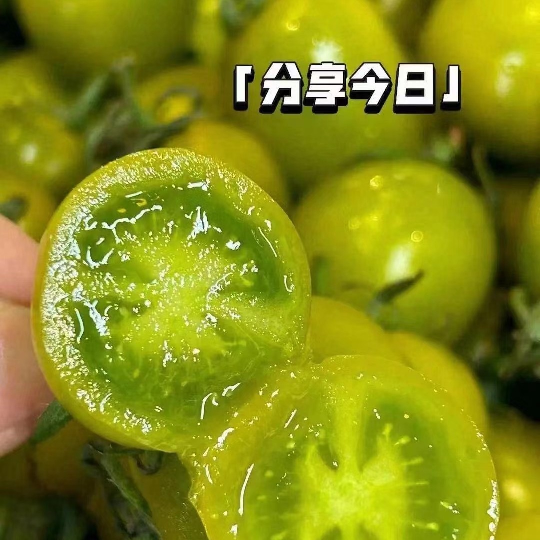 青口蜜番茄 500g番茄同城配绿色樱桃小番茄广东省