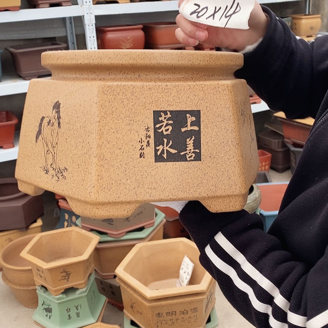 紫砂花盆紫砂花盆