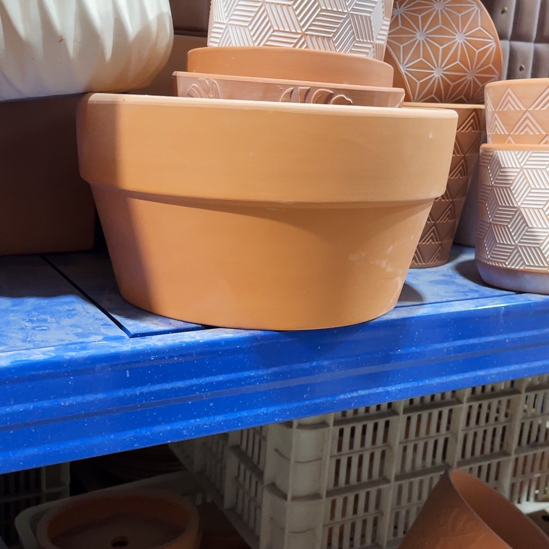 口20×11     红陶色发2