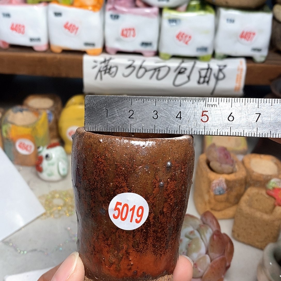 红陶拍5送一个小