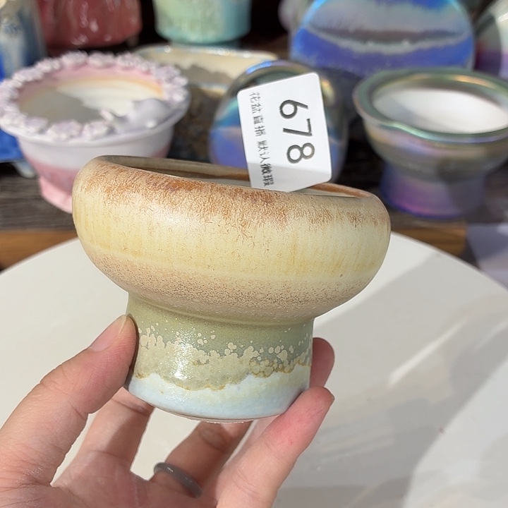 花盆花盆花盆花盆