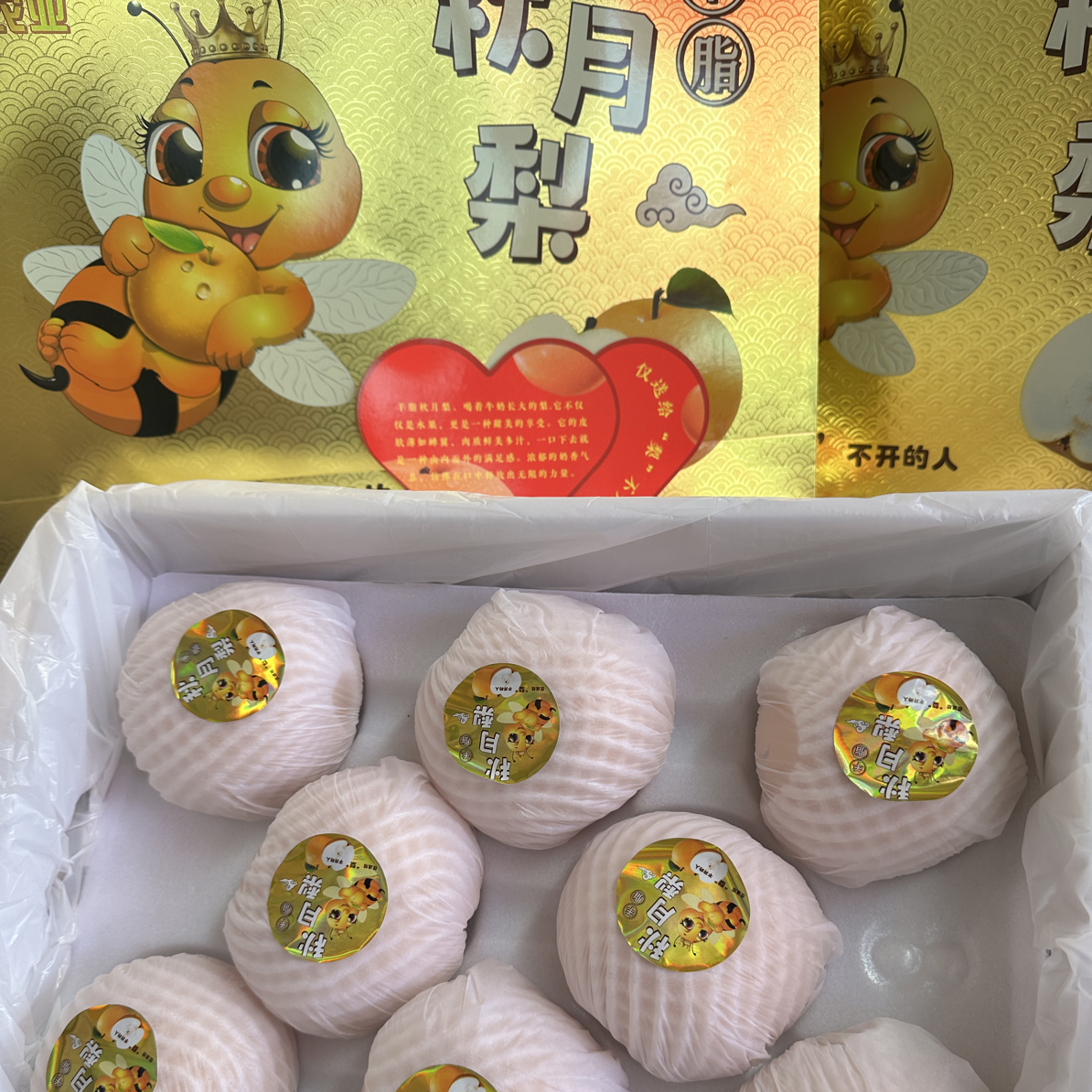 【顺丰次日达】正宗秋月梨新鲜梨子脆甜多汁礼盒装8枚中秋送礼佳品山东省