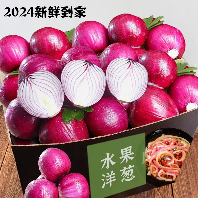 新鲜紫皮洋葱农家自种甜脆圆葱头当季蔬菜特产
