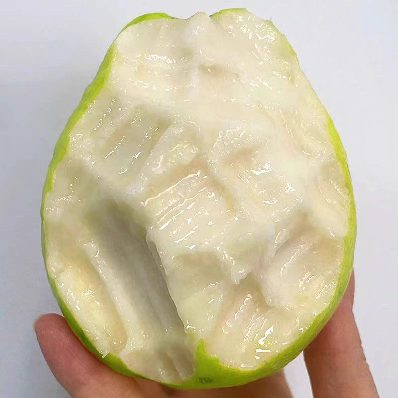 老牛优选 树上熟蜜糖芭乐 白1件净2.5斤 礼盒 快递包邮