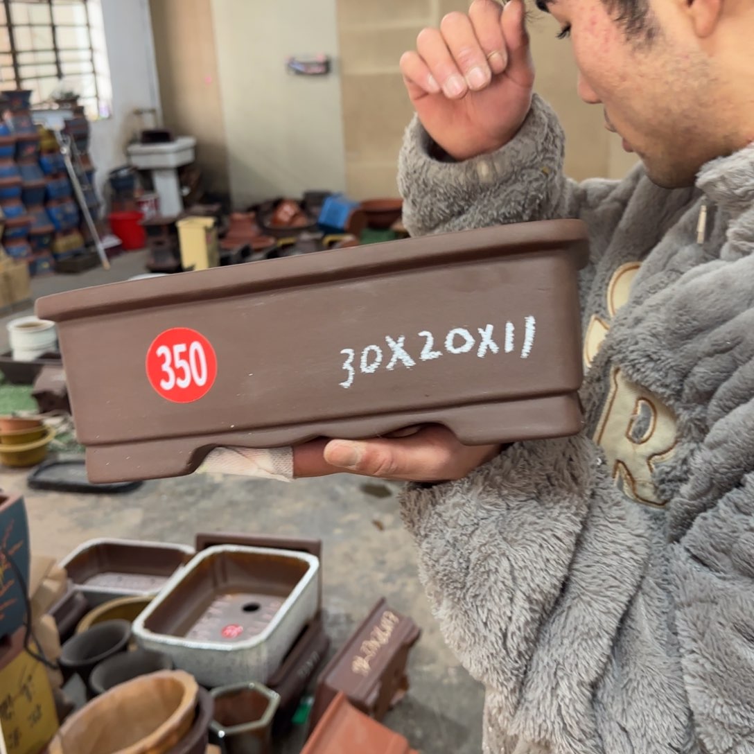 紫砂花盆呜呜呜呜