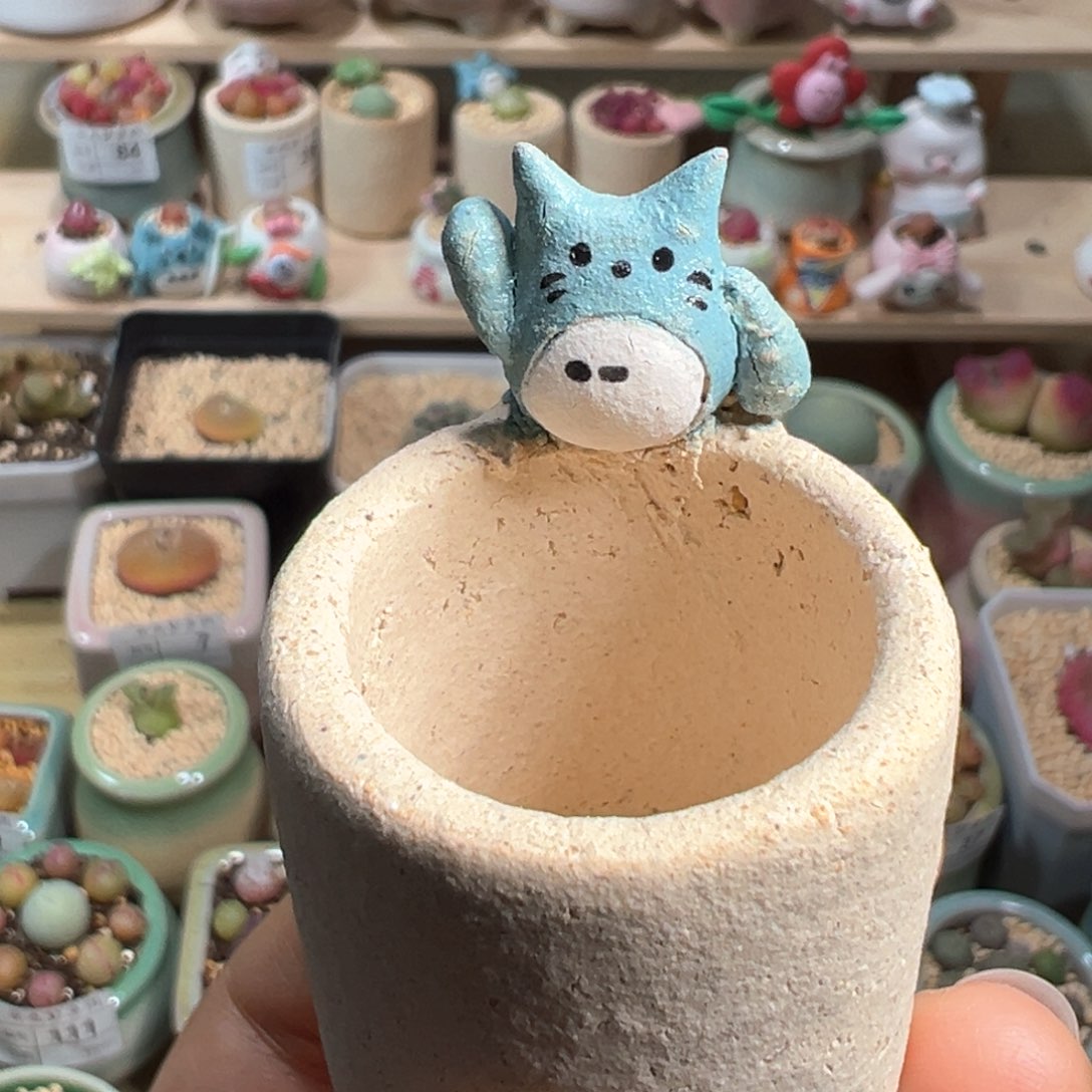 多肉植物129号素烧盆