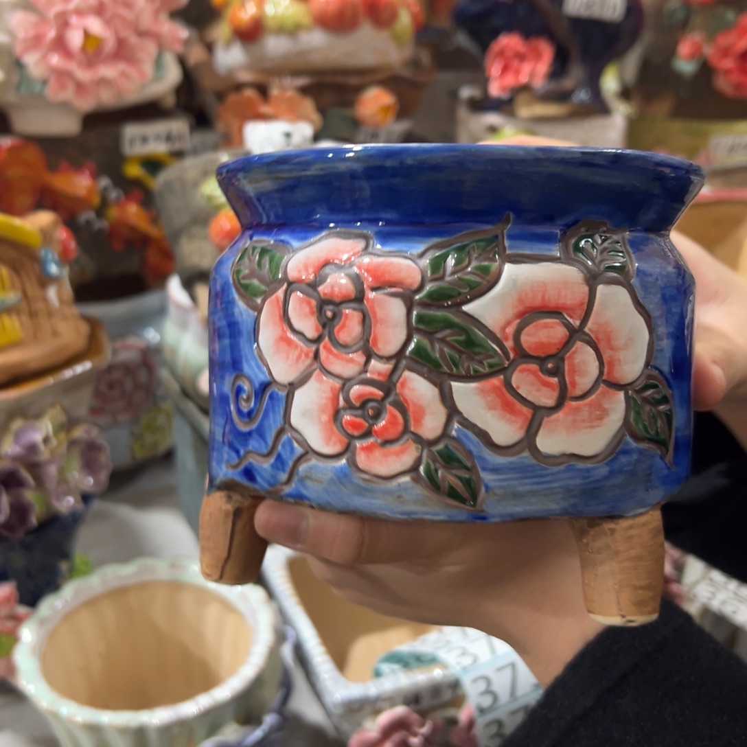 花盆，拍满20发货，退款拉黑