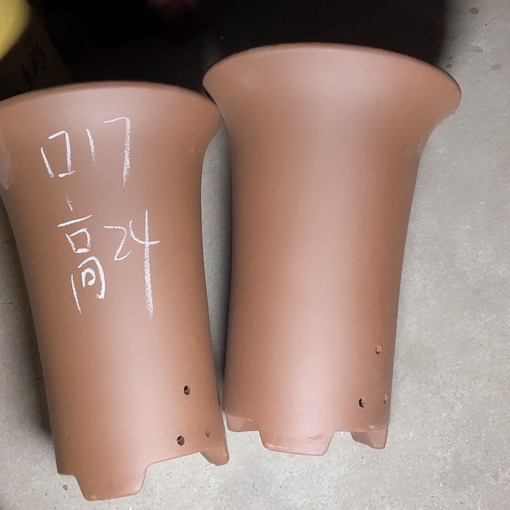 红陶紫砂紫砂紫砂