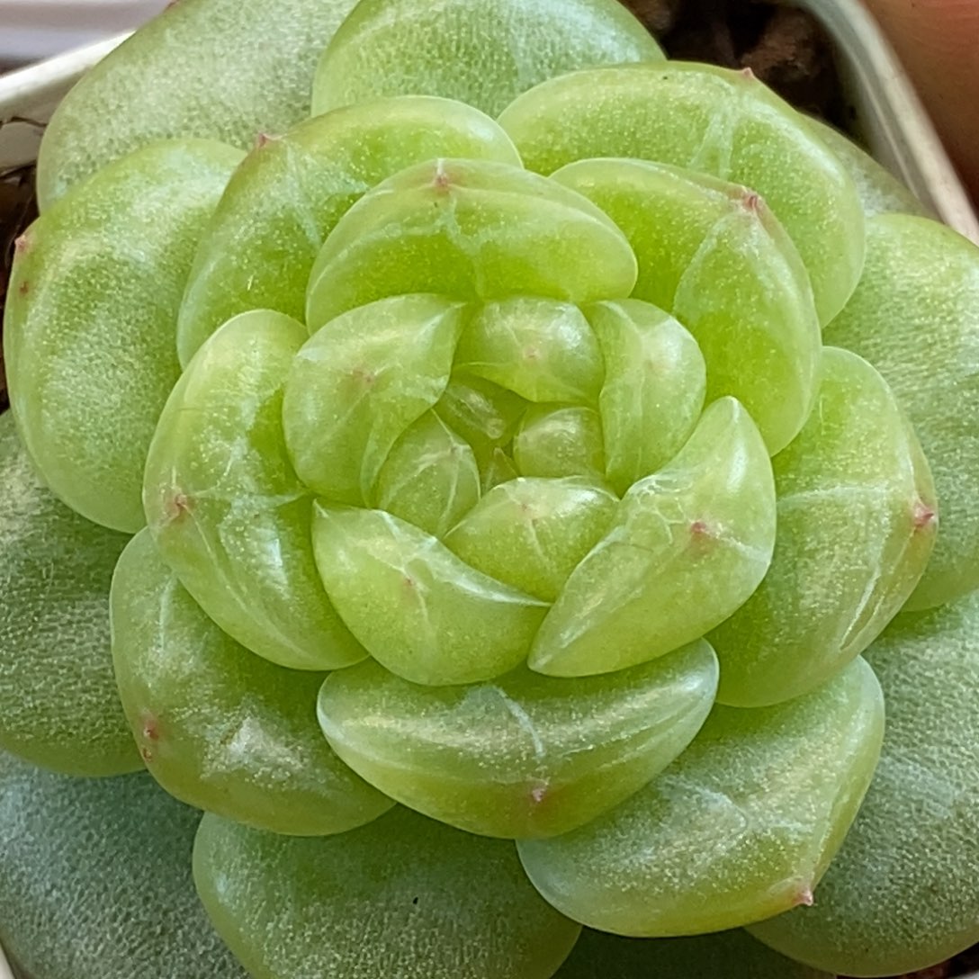 天官赐福百无禁忌