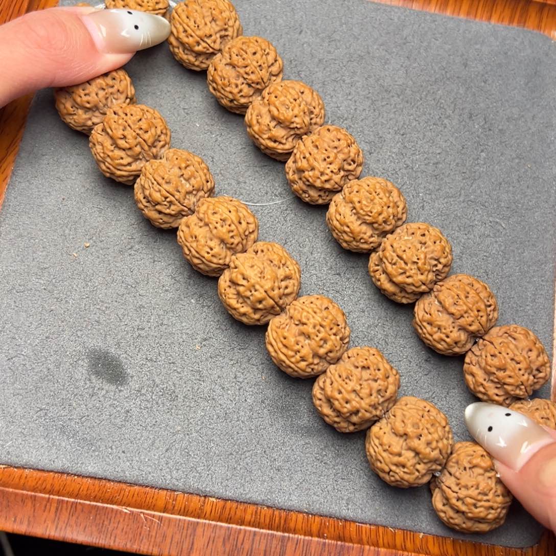 菩提5号尼泊尔大金刚21梅花蜂王手持