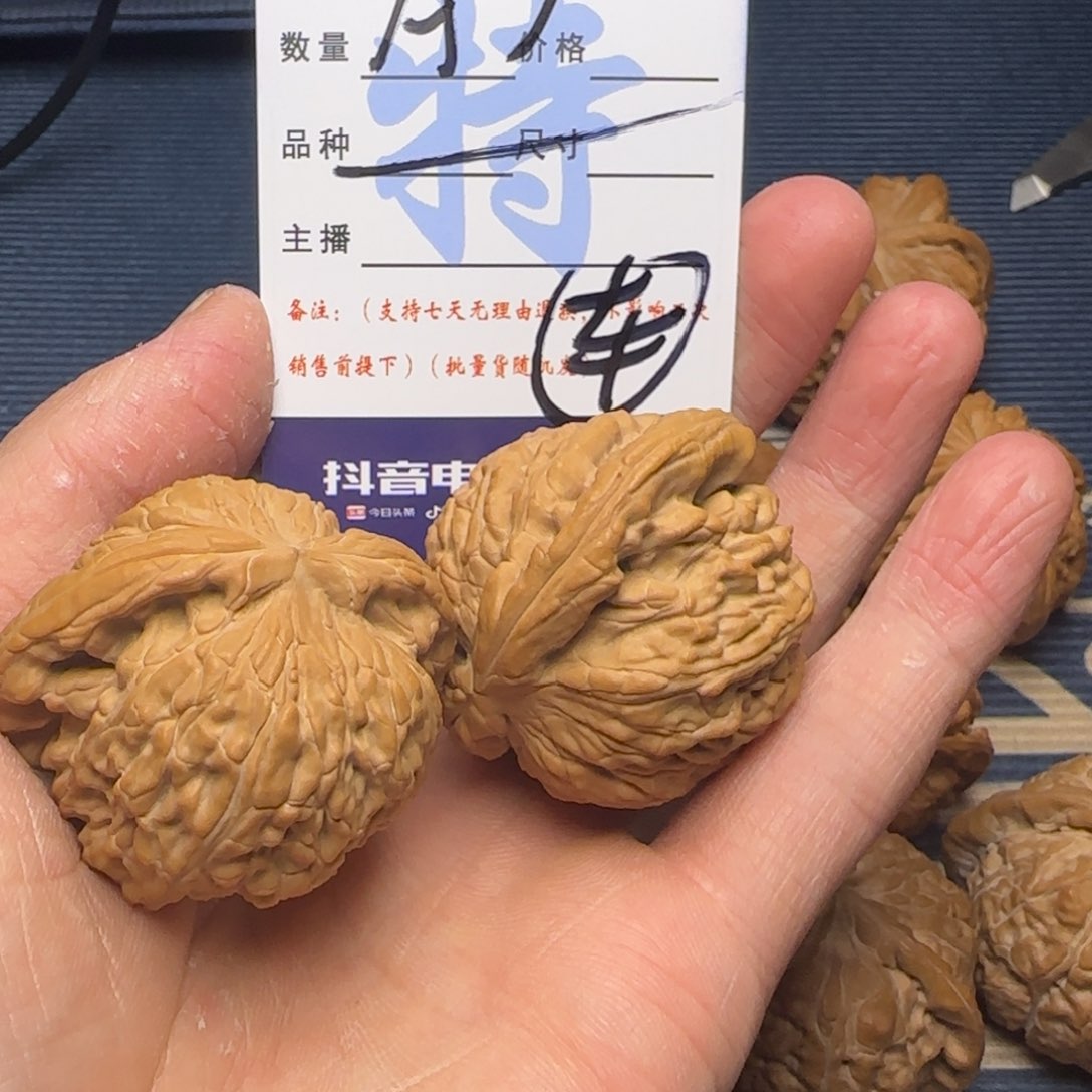 白狮子的故事是一个