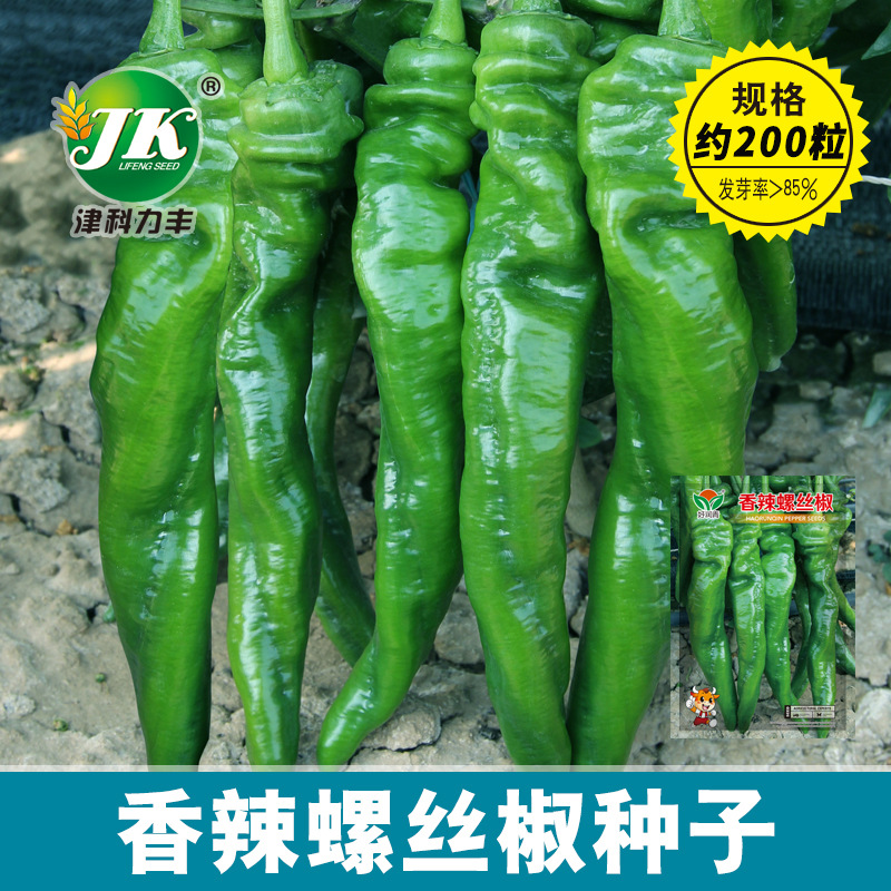 【全店满5包包邮】辣椒大全香辣螺丝椒种子皱皮春季菜园蔬菜种籽