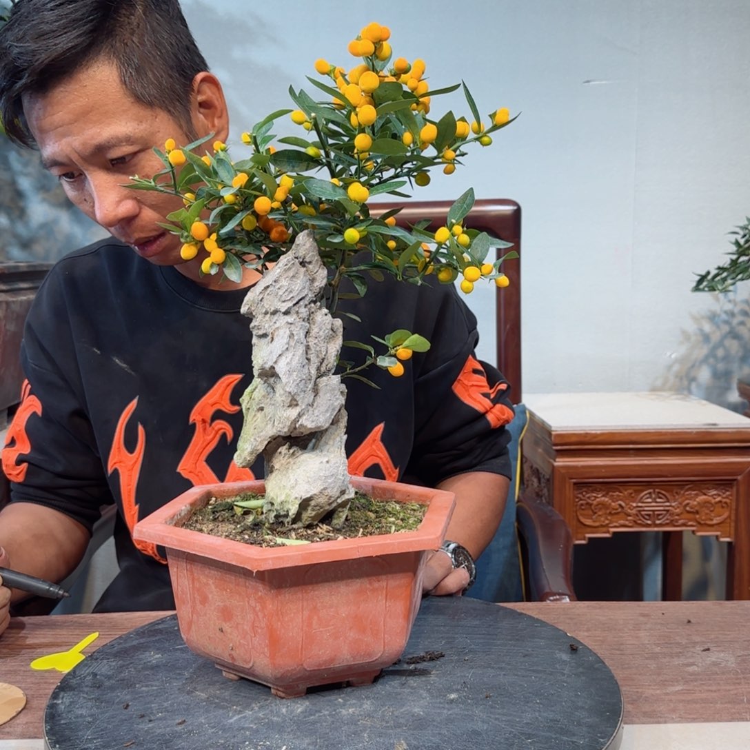 少量花朵（建议范围：2朵-5朵 或40%以下）一****e