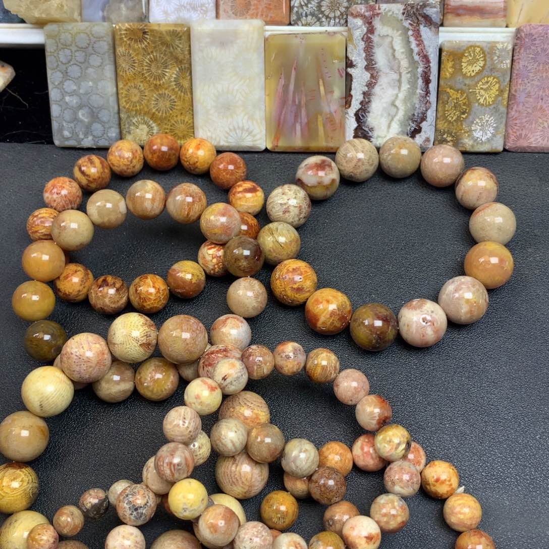 诸***吉硅化珊瑚（珊瑚玉）未镶嵌珠宝奇石