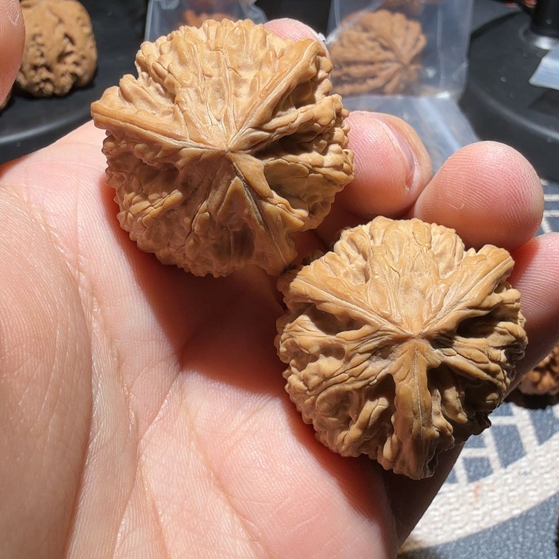 文玩核桃把件御龙