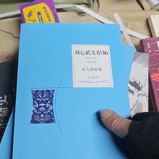 私人照相馆。唉私人照相馆，刘心武著作。