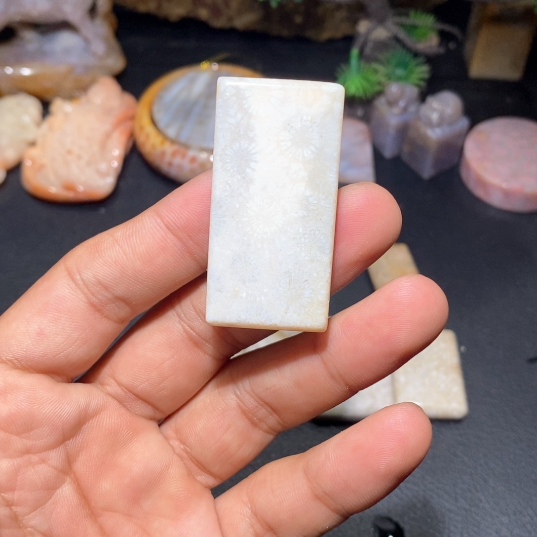 【闪购商品】硅化玉颈饰未镶嵌