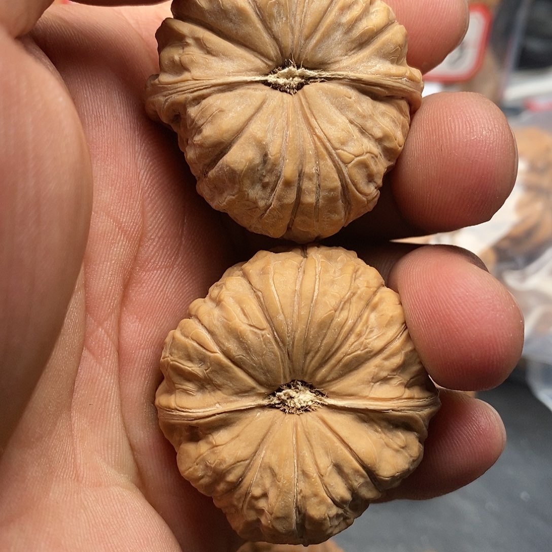 文玩核桃把件小*头南瓜42