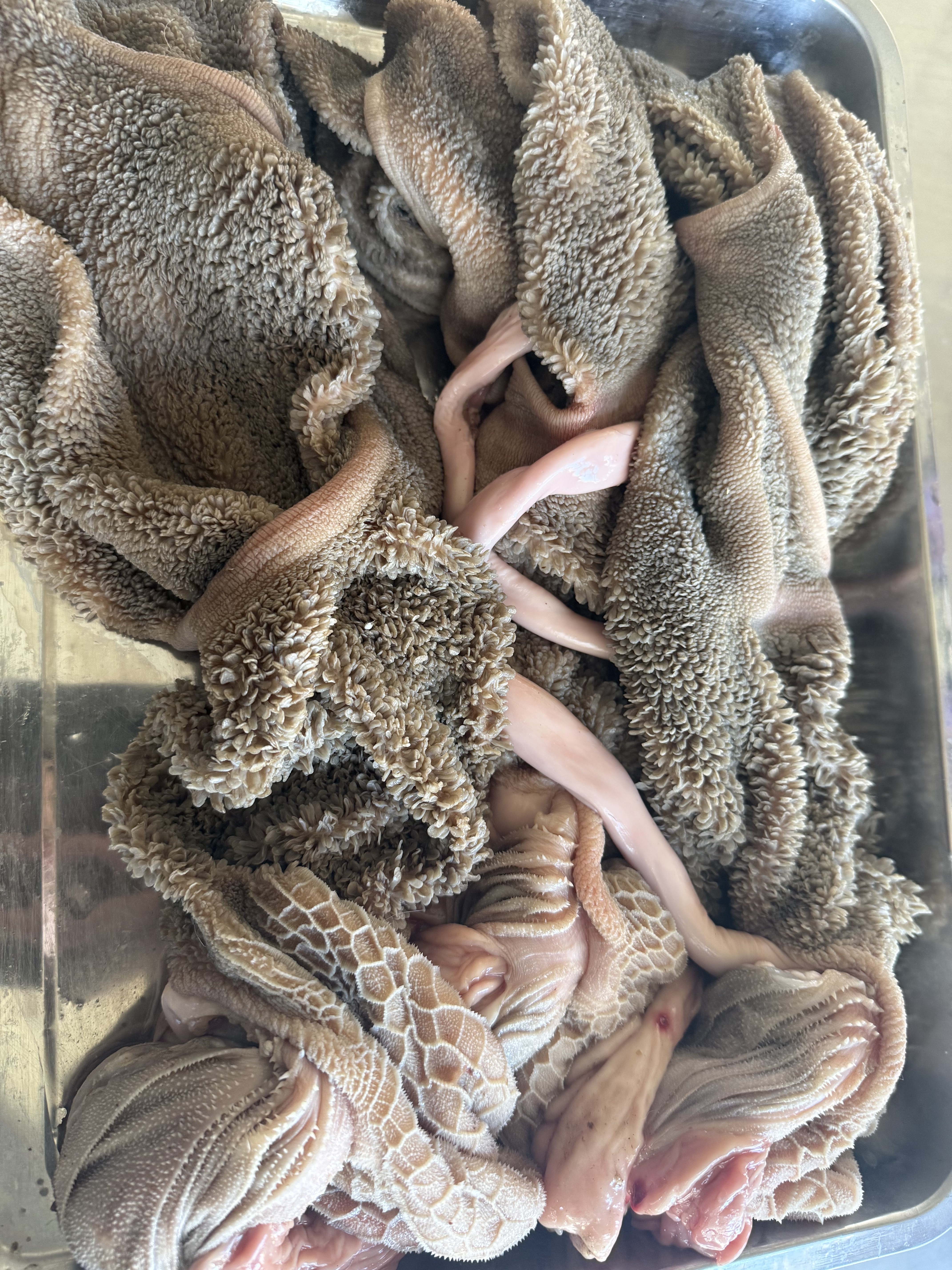 （清真食品）鲜羊肚 去油 去沙肝