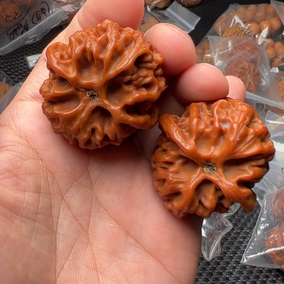 文玩核桃把件公**赵41苹果园